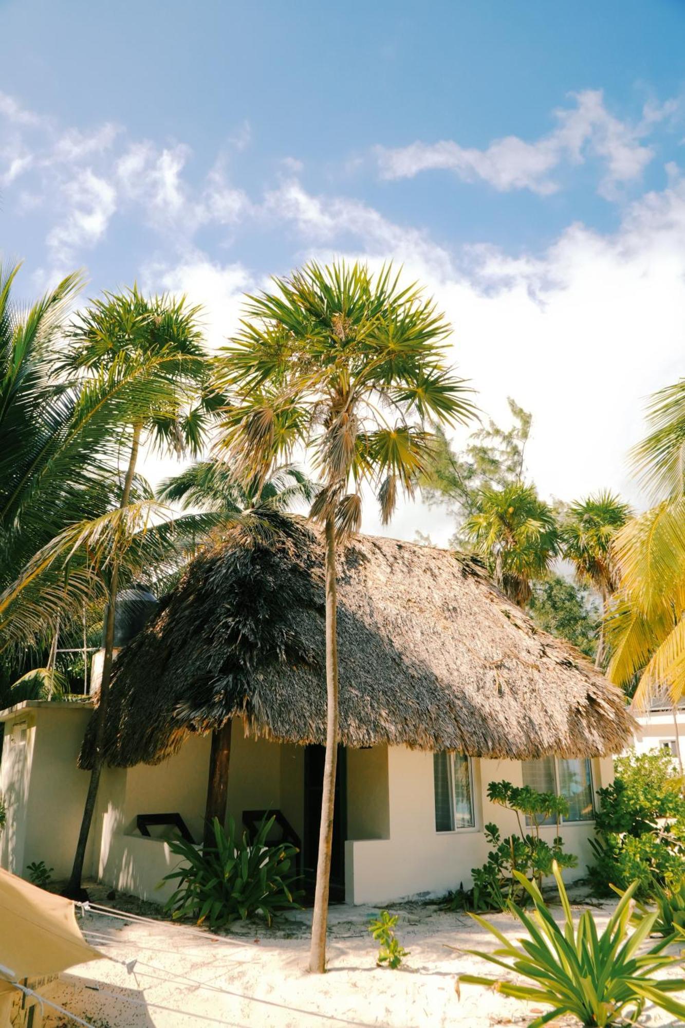 Hotel Cielo Y Selva Punta Allen Exterior foto