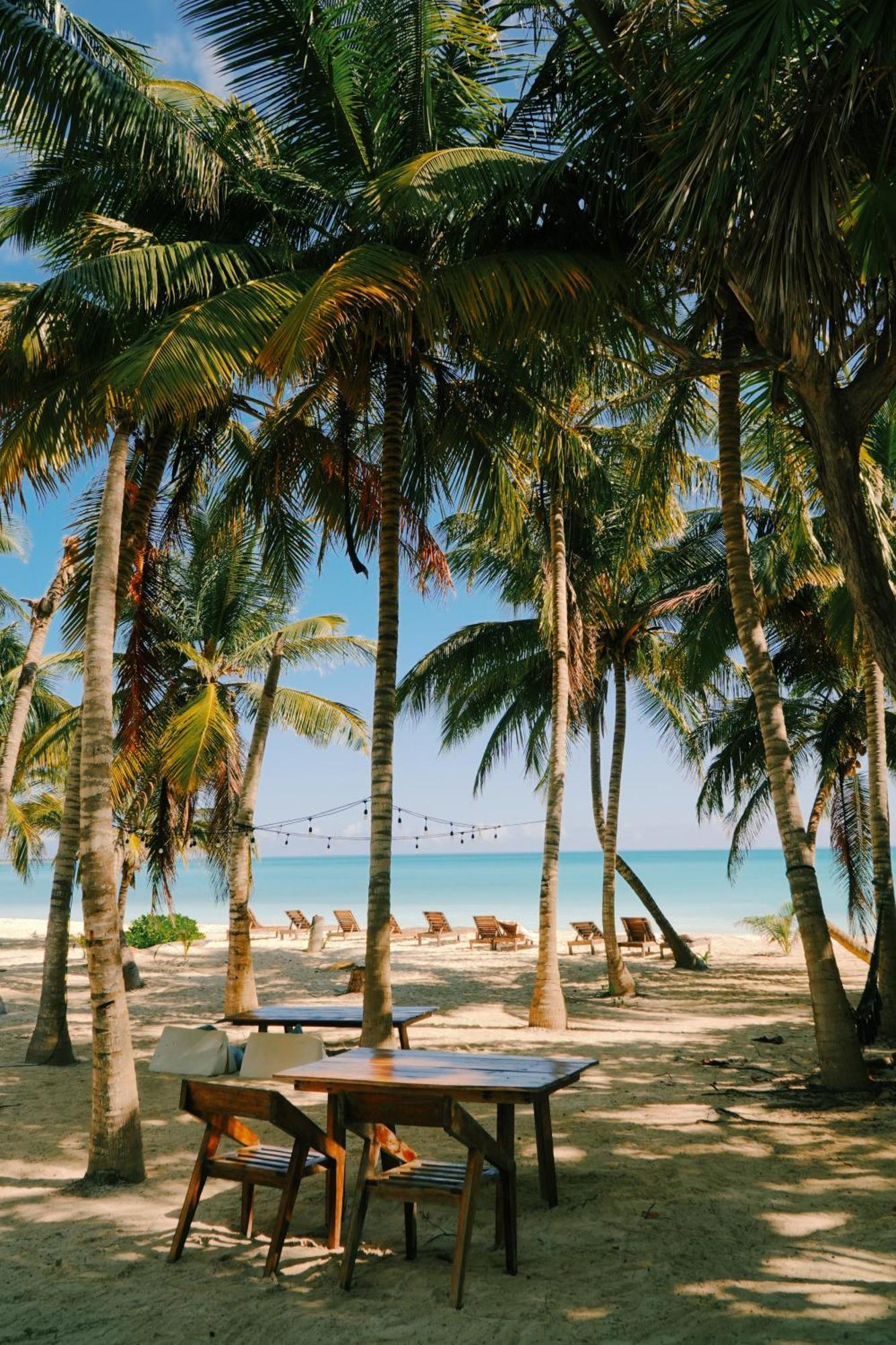 Hotel Cielo Y Selva Punta Allen Exterior foto