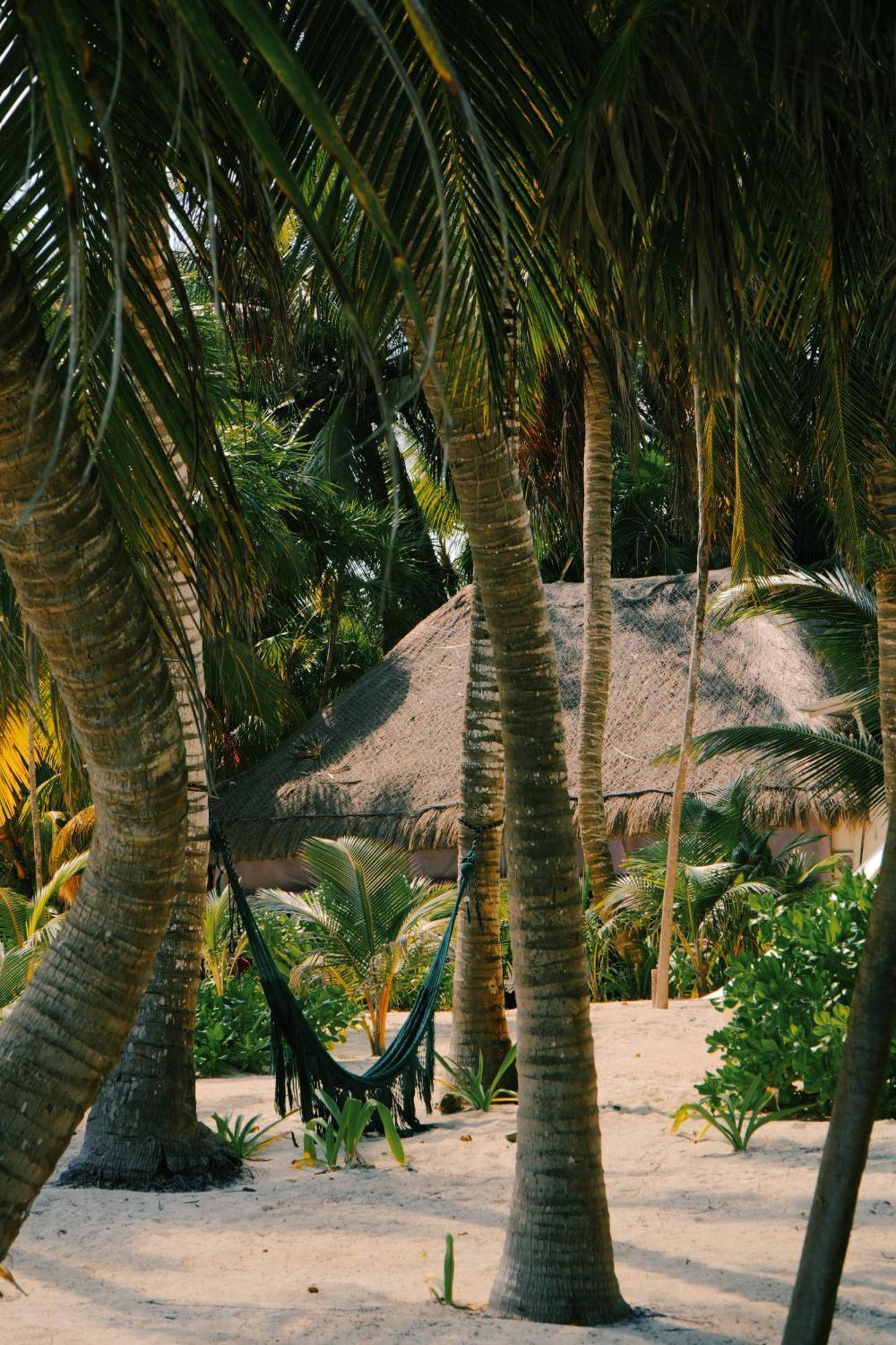 Hotel Cielo Y Selva Punta Allen Exterior foto