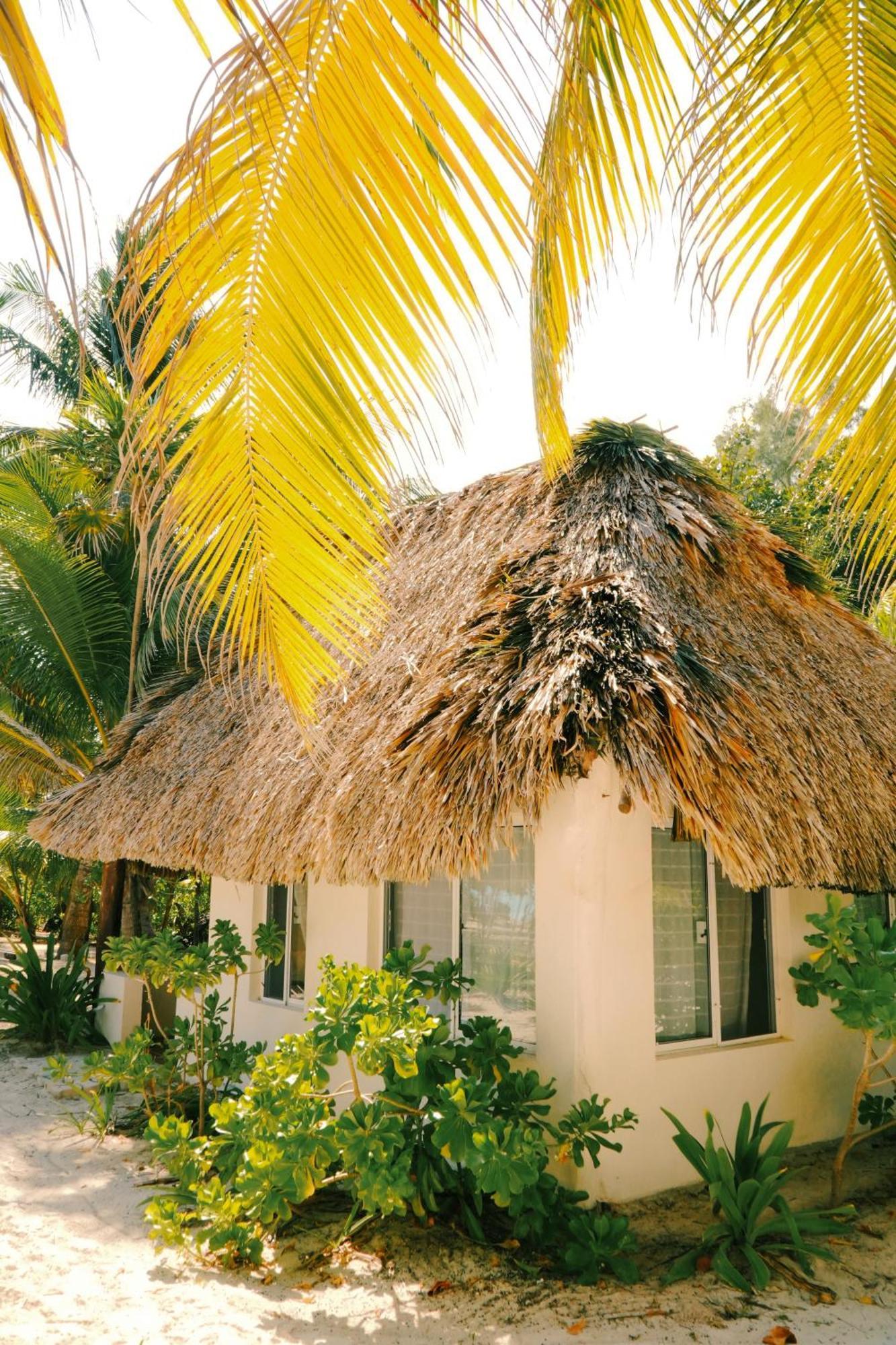 Hotel Cielo Y Selva Punta Allen Exterior foto